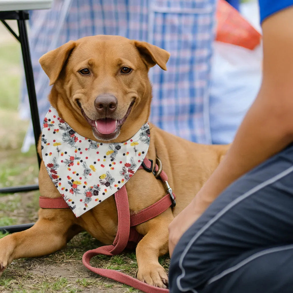 Dog & Cat Bandana with Collar, Adjustable Pet Scarf | Autumn Floral