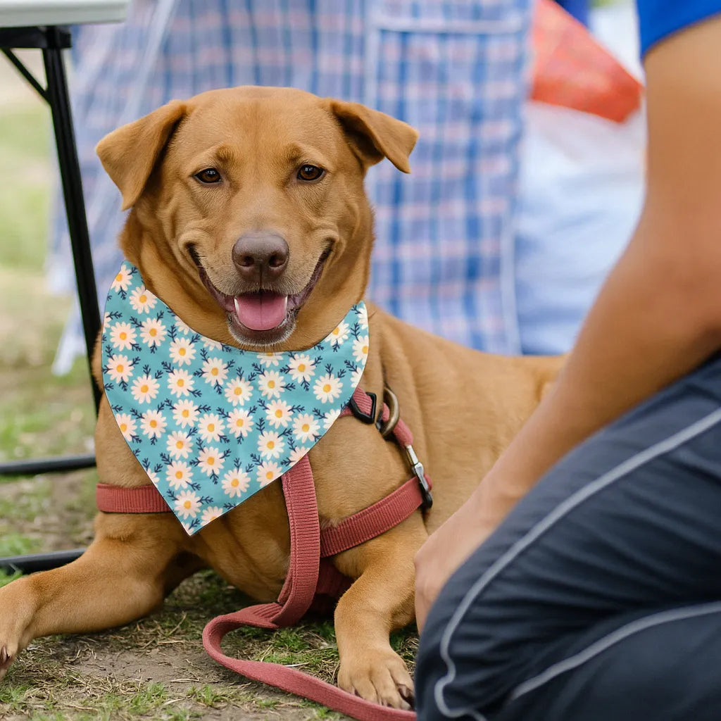 Dog & Cat Bandana with Collar, Adjustable Pet Scarf | Blue Daisy