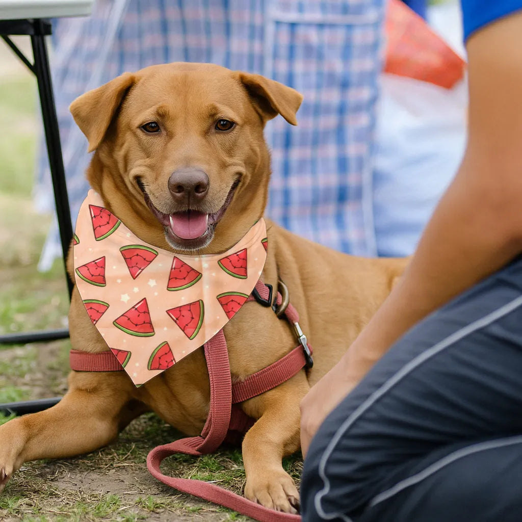 Dog & Cat Bandana with Collar, Adjustable Pet Scarf | Watermelon