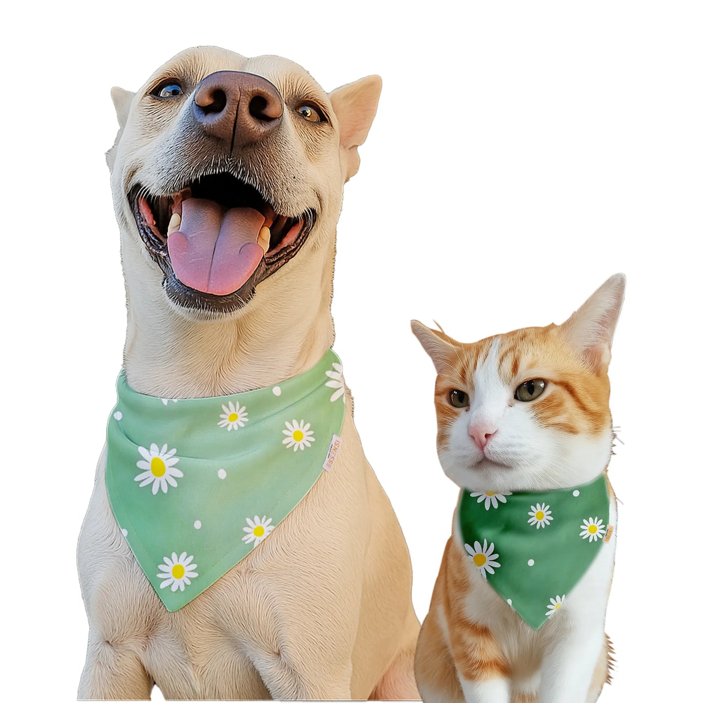 Dog & Cat Bandana with Collar, Adjustable Pet Scarf | Medow