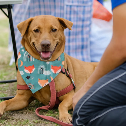 Dog & Cat Bandana with Collar, Adjustable Pet Scarf | Rainbow Fox