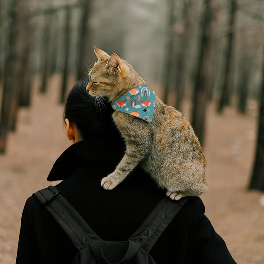 Dog & Cat Bandana with Collar, Adjustable Pet Scarf | Rainbow Fox