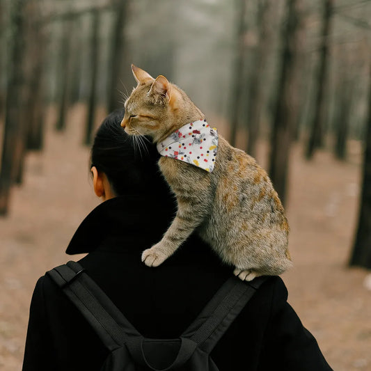 Dog & Cat Bandana with Collar, Adjustable Pet Scarf | Autumn Floral
