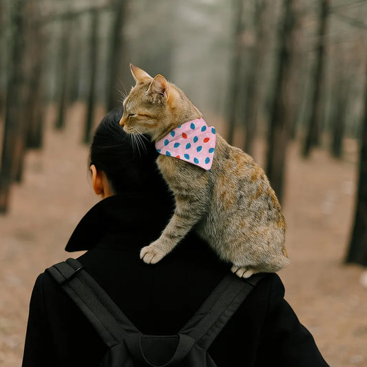 Dog & Cat Bandana with Collar, Adjustable Pet Scarf | Pink Seashells