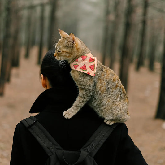 Dog & Cat Bandana with Collar, Adjustable Pet Scarf | Watermelon