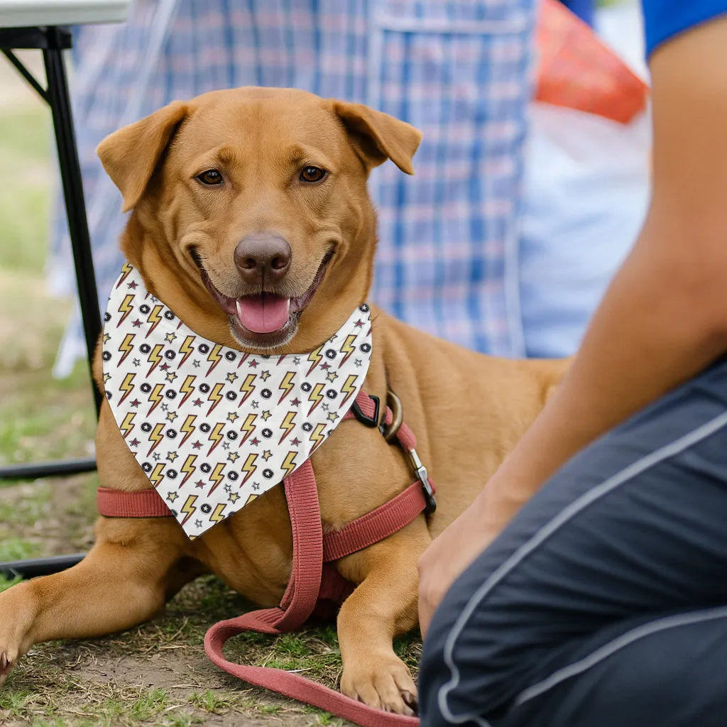Dog & Cat Bandana with Collar, Adjustable Pet Scarf | Thunder