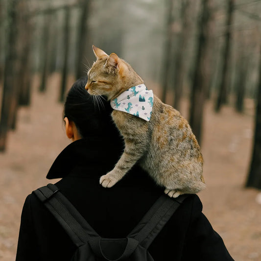 Dog & Cat Bandana with Collar, Adjustable Pet Scarf | Dino