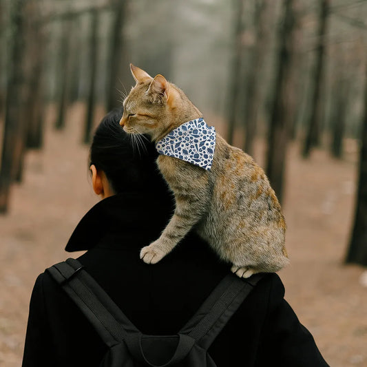 Dog & Cat Bandana with Collar, Adjustable Pet Scarf | SeaLife