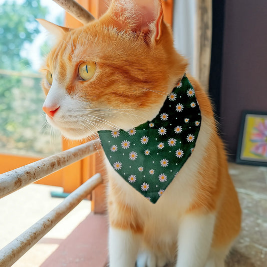 Dog & Cat Bandana with Collar, Adjustable Pet Scarf | Medow