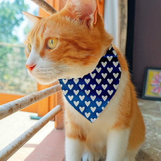 Dog & Cat Bandana with Collar, Adjustable Pet Scarf | Blue Hearts
