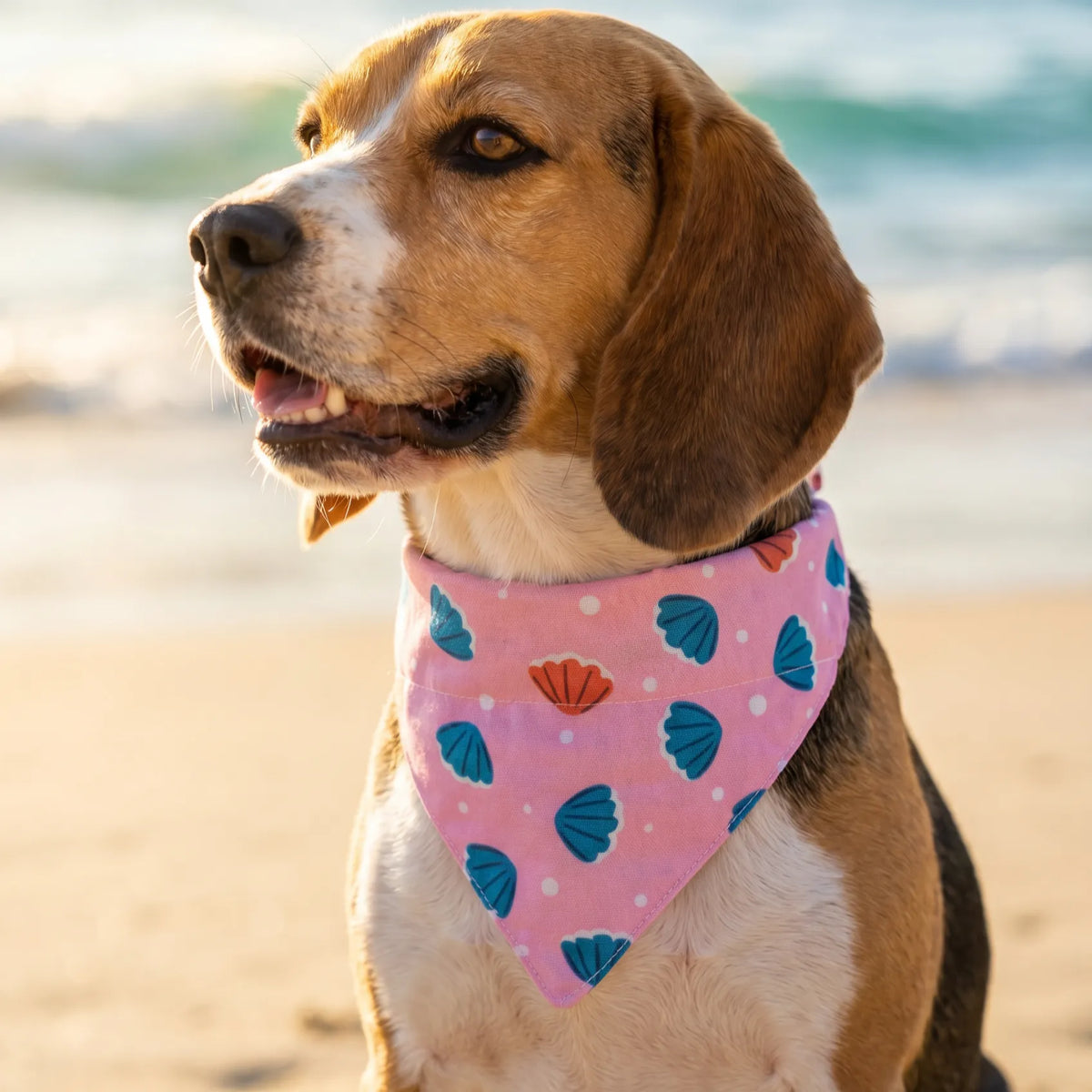 Dog & Cat Bandana with Collar, Adjustable Pet Scarf | Pink Seashells