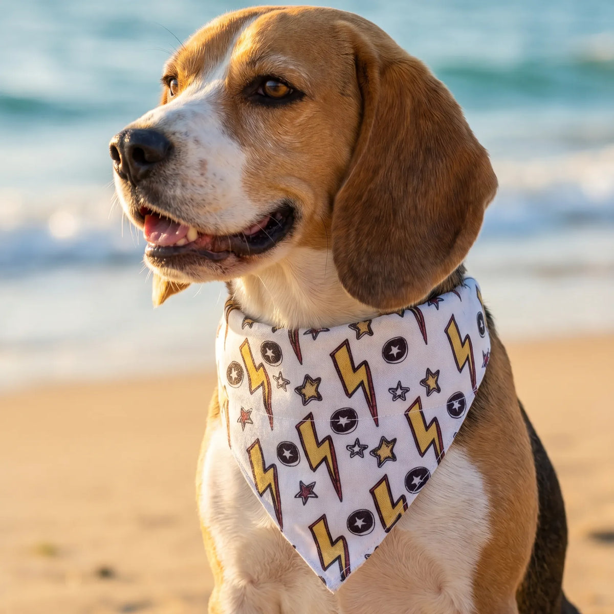 Dog & Cat Bandana with Collar, Adjustable Pet Scarf | Thunder