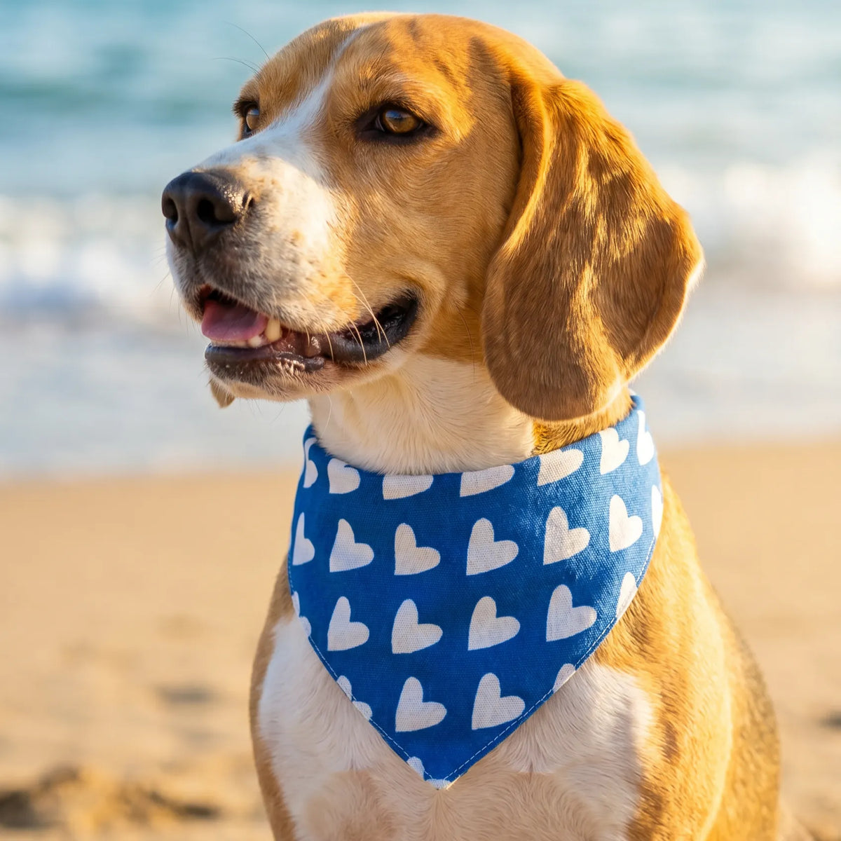 Dog & Cat Bandana with Collar, Adjustable Pet Scarf | Blue Hearts
