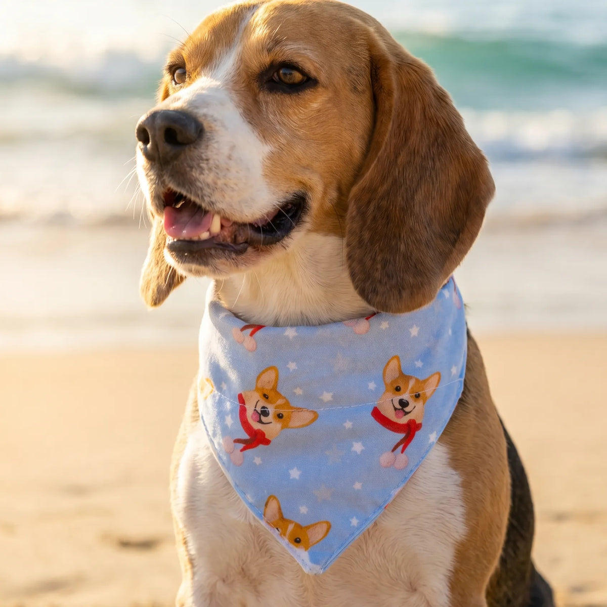 Dog & Cat Bandana with Collar, Adjustable Pet Scarf | Smiling Corgi