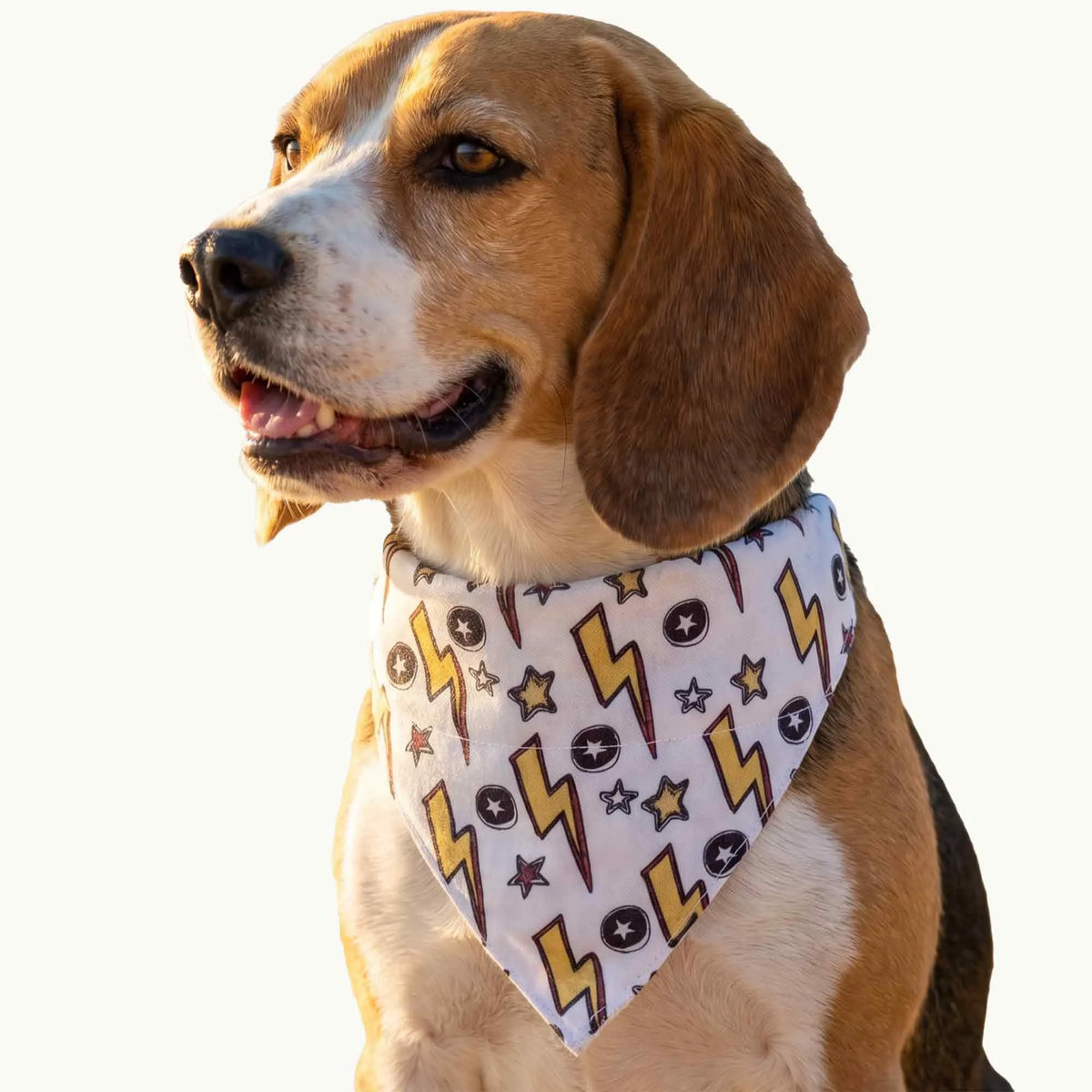 Dog & Cat Bandana with Collar, Adjustable Pet Scarf | Thunder