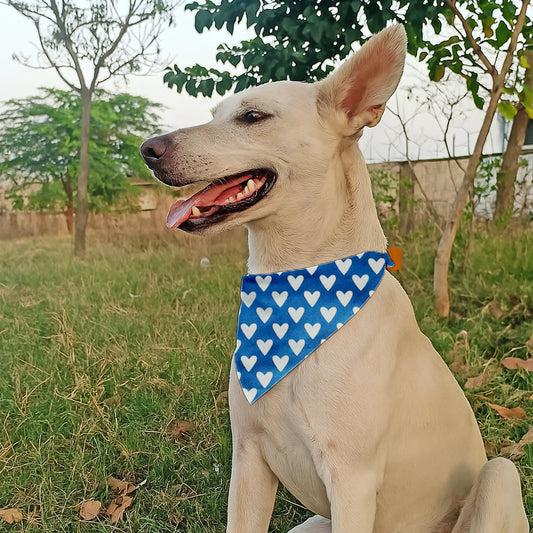 Dog & Cat Bandana with Collar, Adjustable Pet Scarf | Blue Hearts