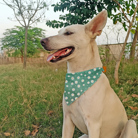 Dog & Cat Bandana with Collar, Adjustable Pet Scarf | Medow